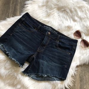 American Eagle Stretch Shorts